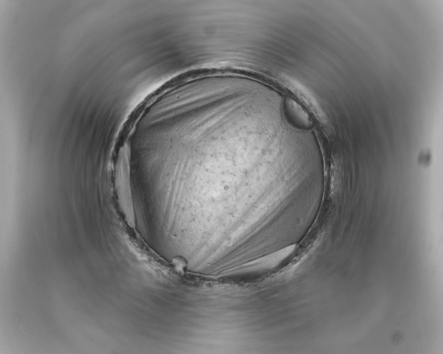 X0000091570876200709100954