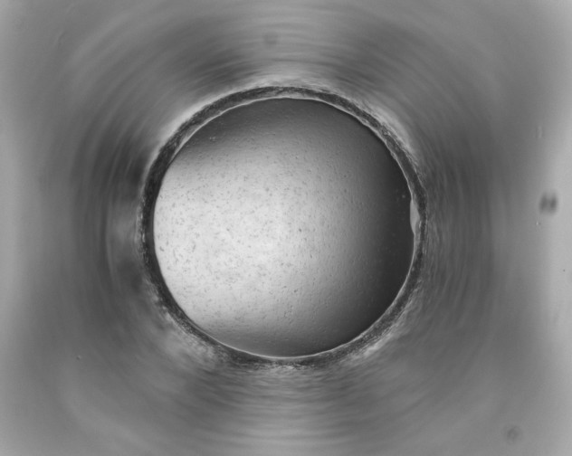 X0000091570880200709100954