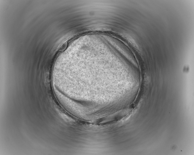 X0000091570881200709100954