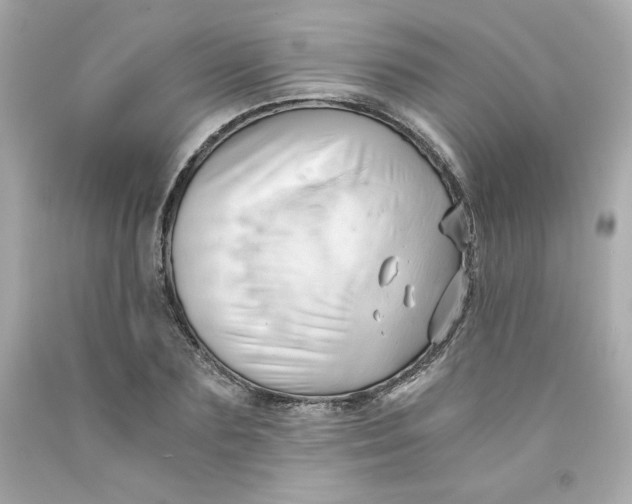 X0000091570883200709100954