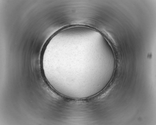 X0000091570884200709100954