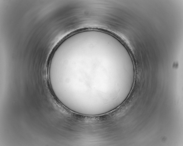 X0000091570887200709100954