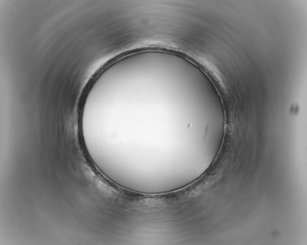 X0000091570888200709100954