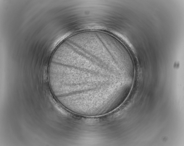 X0000091570889200709100954