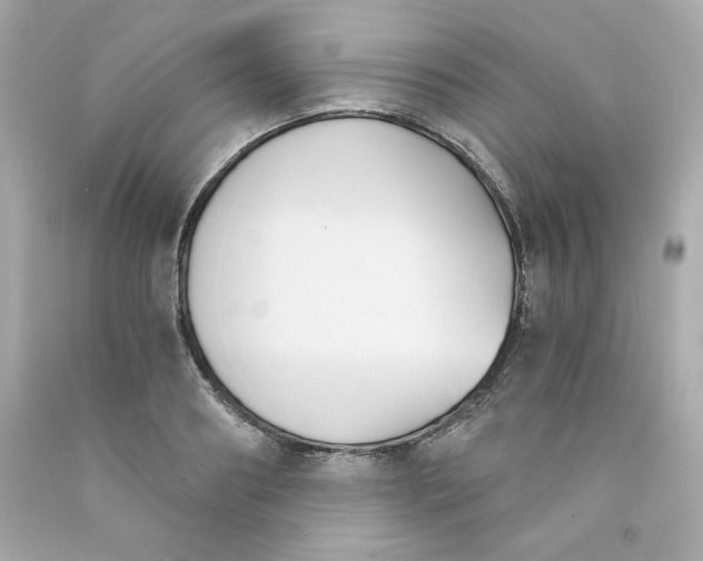 X0000091570890200709100954