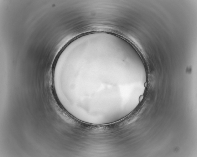 X0000091570891200709100954