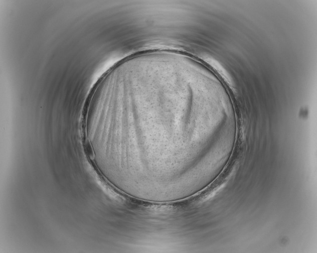 X0000091570893200709100954