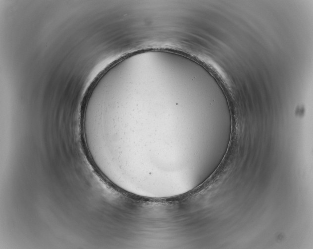 X0000091570894200709100954