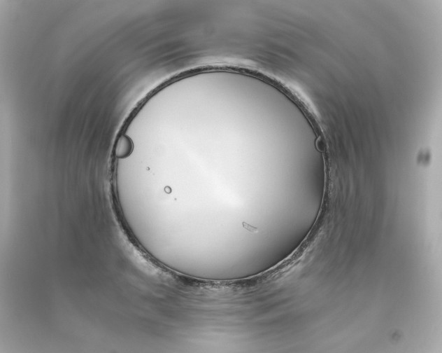 X0000091570895200709100954