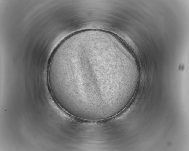 X0000091570896200709100954