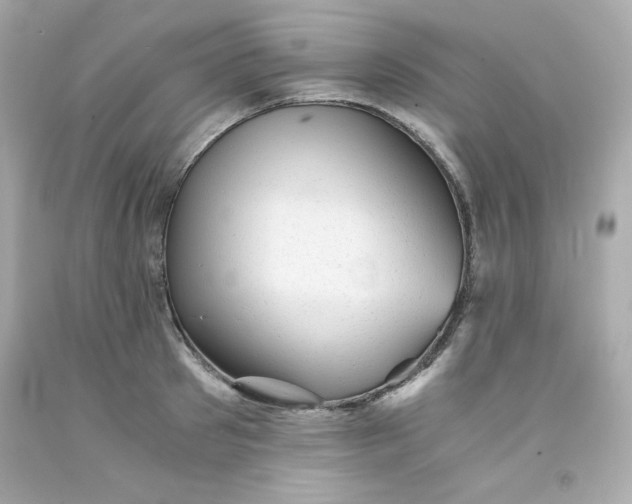 X0000091570897200709100954