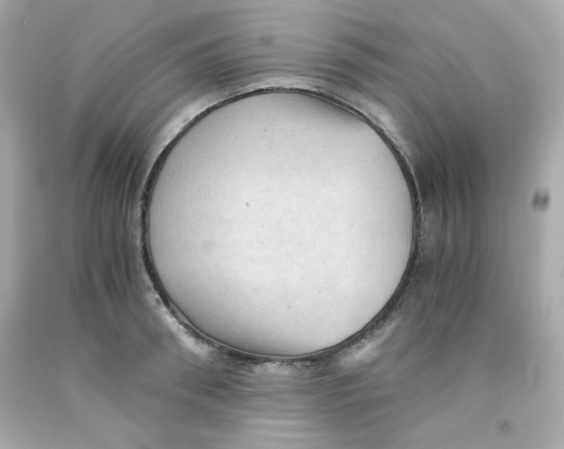 X0000091570898200709100954