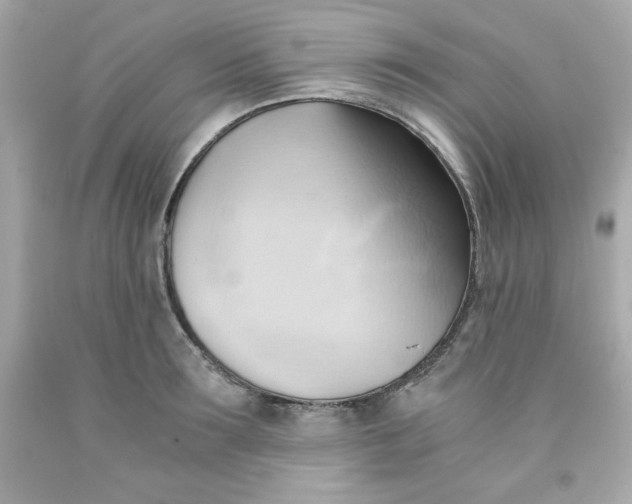 X0000091570899200709100954