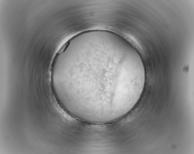 X0000091570900200709100954