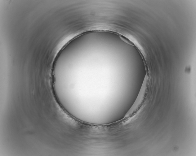 X0000091570901200709100954