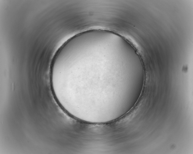 X0000091570902200709100954