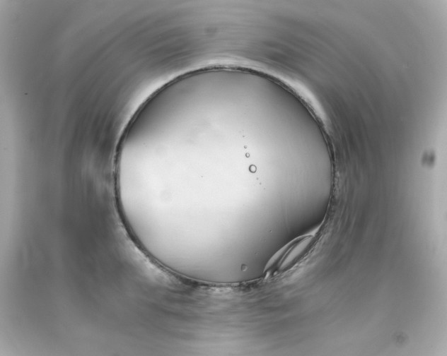 X0000091570903200709100954