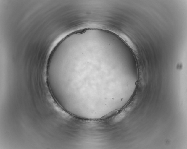 X0000091570904200709100954