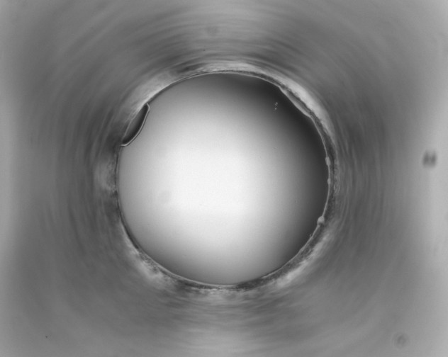 X0000091570905200709100954