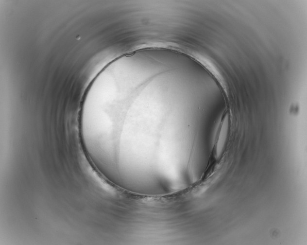 X0000091570906200709100954