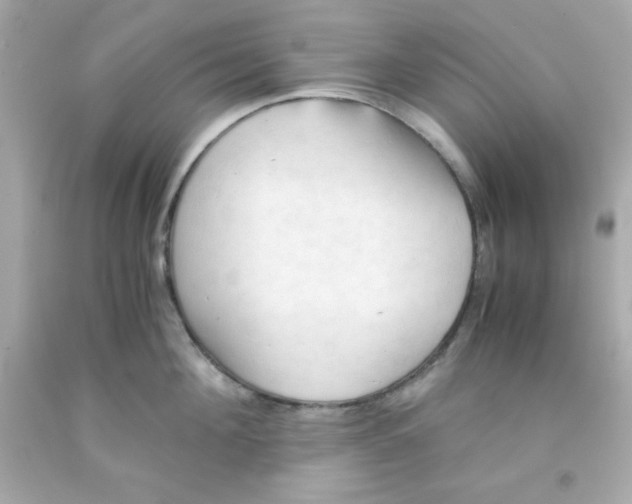 X0000091570908200709100954