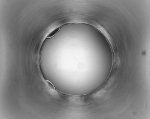 X0000091570909200709100954