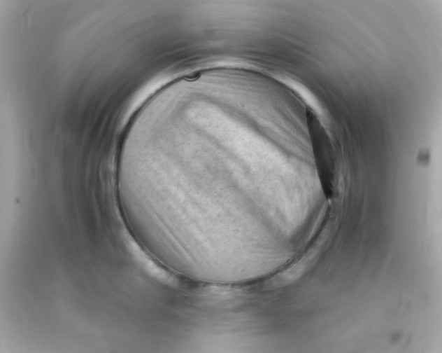 X0000091570910200709100954