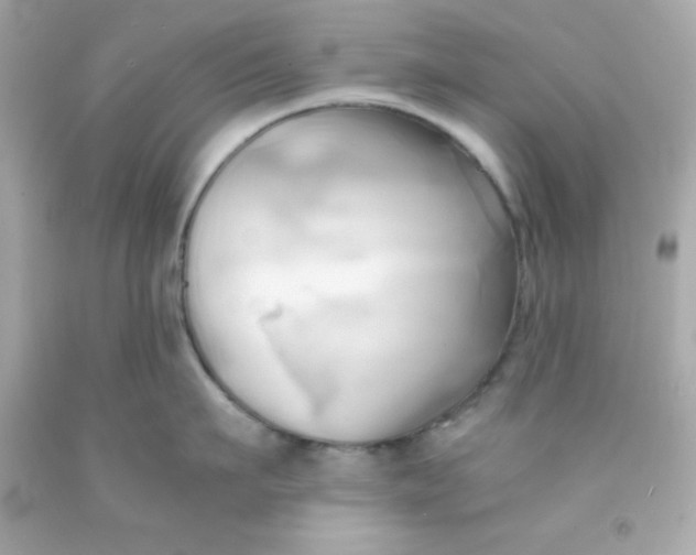 X0000091570911200709100954