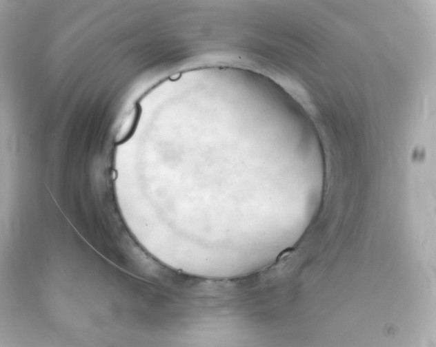 X0000091570912200709100954