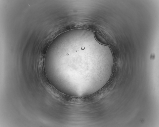 X0000091570914200709100953