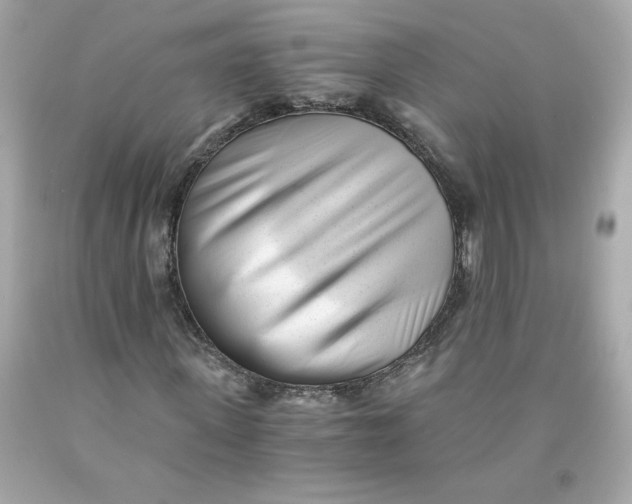 X0000091570915200709100953