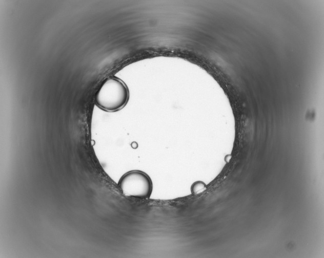 X0000091570918200709100953