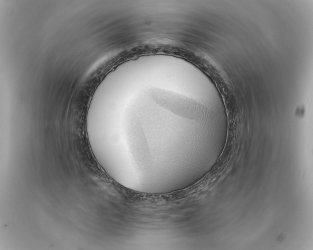 X0000091570919200709100953