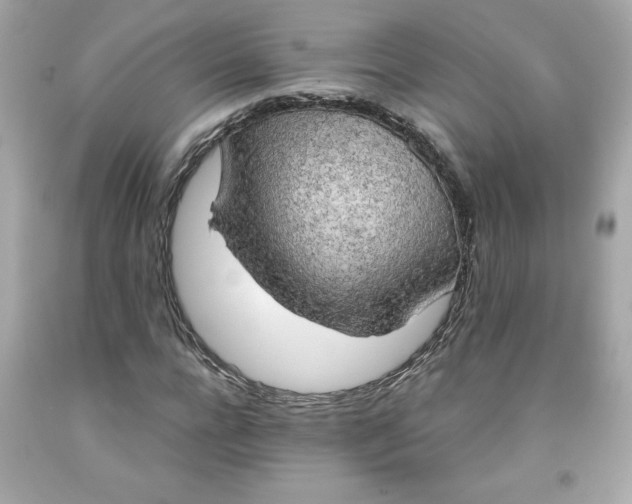 X0000091570920200709100953