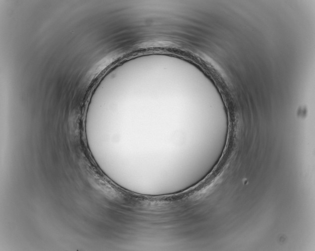 X0000091570921200709100953