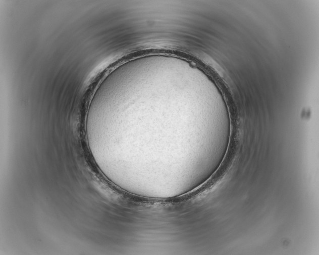 X0000091570922200709100953