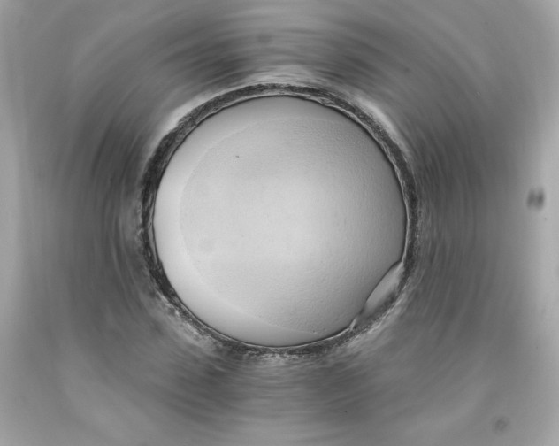 X0000091570923200709100953