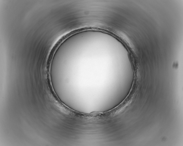 X0000091570924200709100953