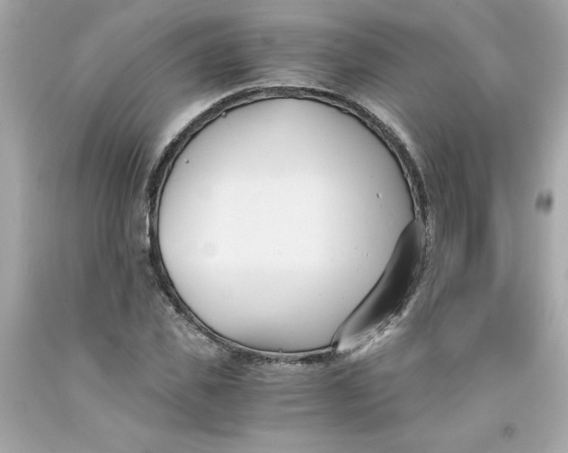 X0000091570925200709100953