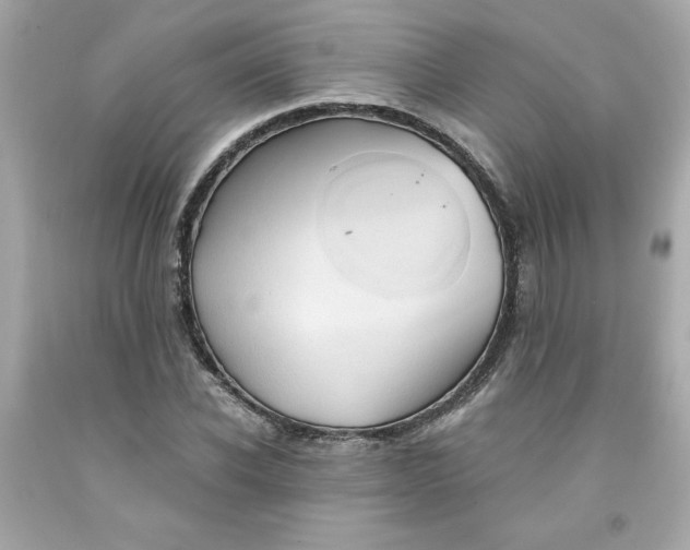 X0000091570926200709100953