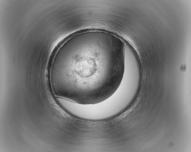 X0000091570928200709100953