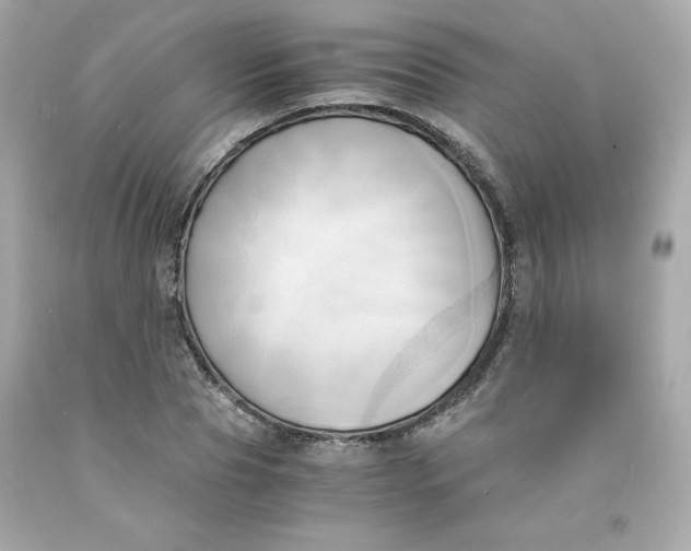 X0000091570929200709100953