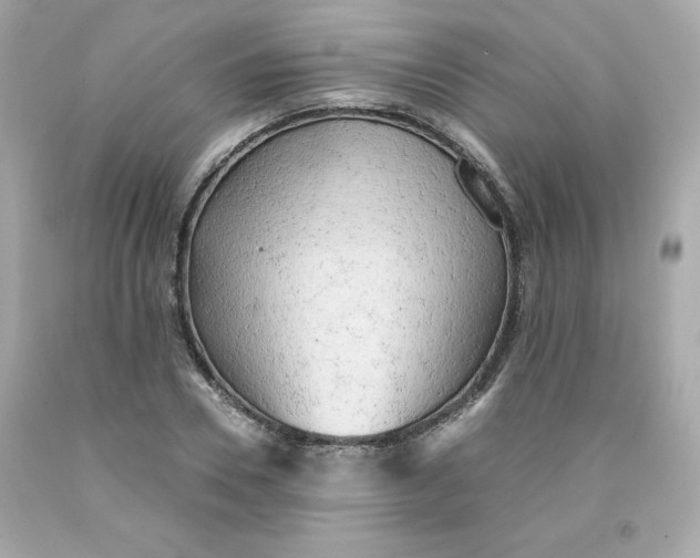 X0000091570930200709100953