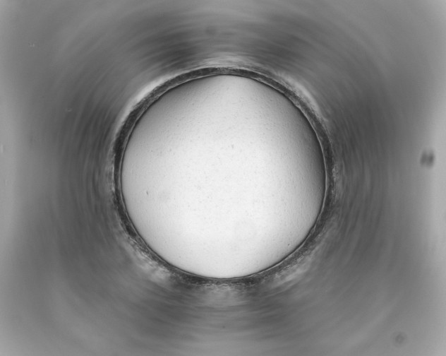 X0000091570931200709100953