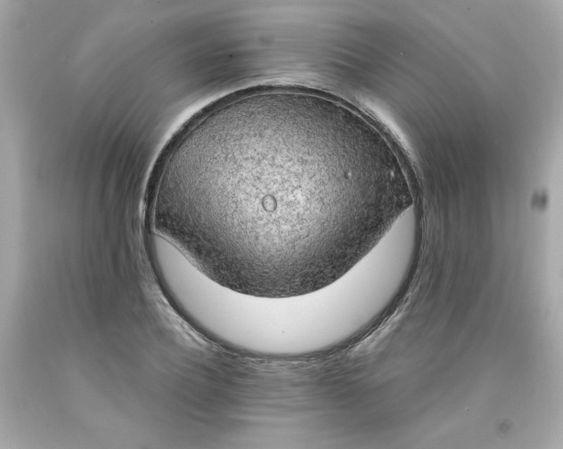 X0000091570932200709100953