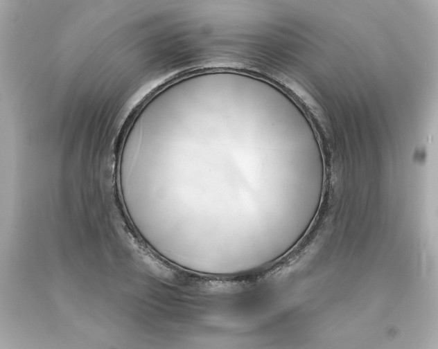 X0000091570933200709100953