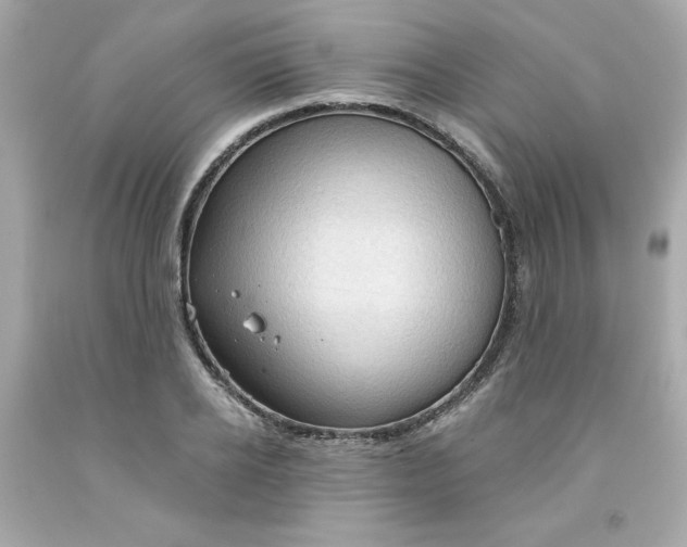 X0000091570934200709100953