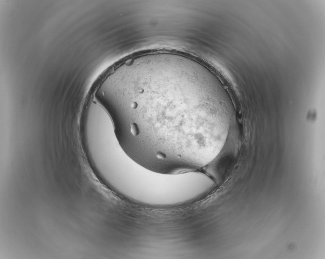 X0000091570936200709100953