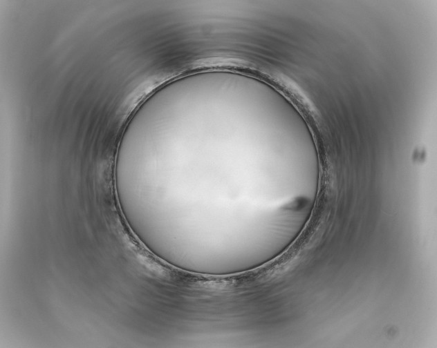 X0000091570937200709100954