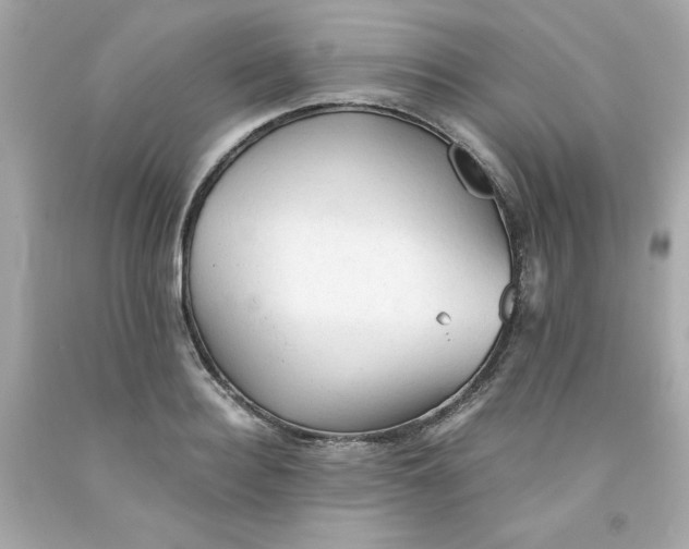 X0000091570940200709100954